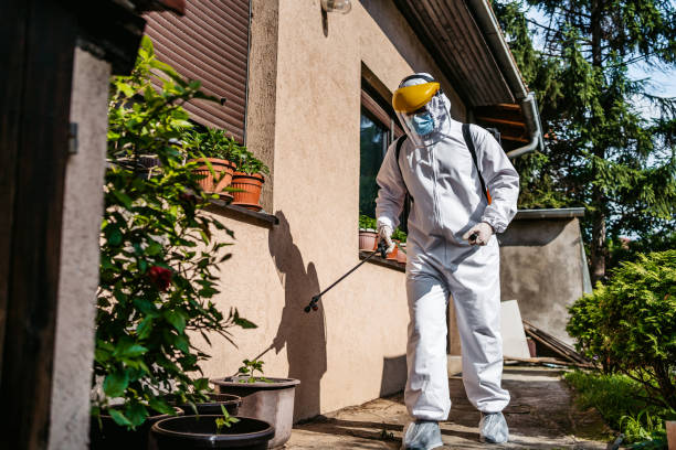 Best Affordable Pest Control Services  in Moultrie, GA
