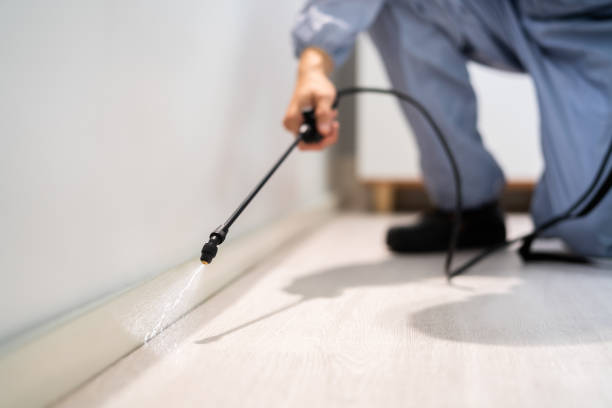 Professional Pest Control in Moultrie, GA