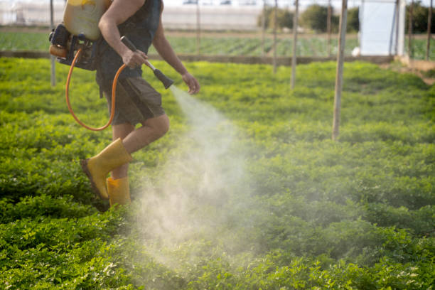 Best Affordable Pest Control Services  in Moultrie, GA