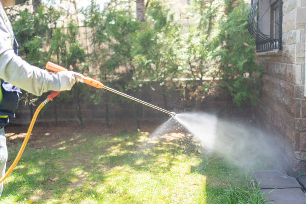 Best Local Pest Control Services  in Moultrie, GA