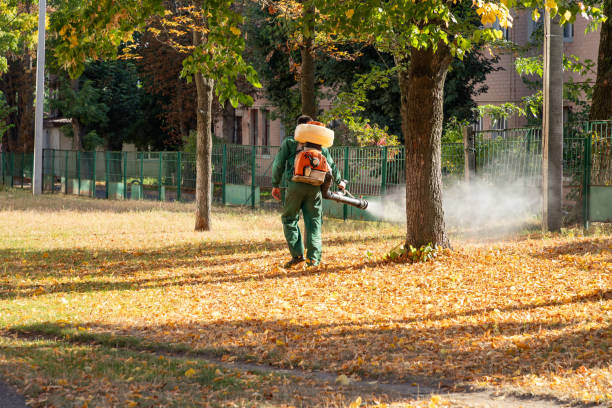 Best Pest Prevention Services  in Moultrie, GA