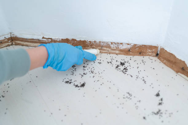 Best Emergency Pest Control  in Moultrie, GA