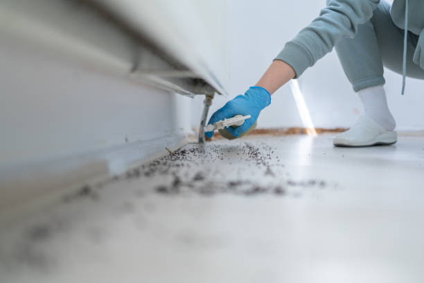 Best Flea Control Services  in Moultrie, GA